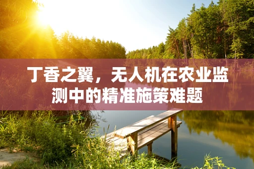 丁香之翼，无人机在农业监测中的精准施策难题