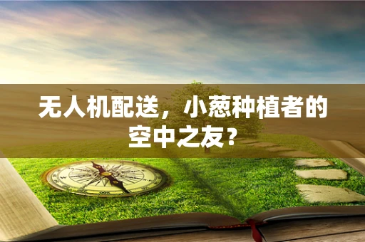 无人机配送，小葱种植者的空中之友？