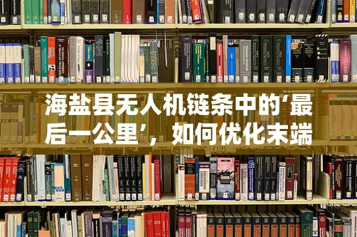 海盐县无人机链条中的‘最后一公里’，如何优化末端配送效率？