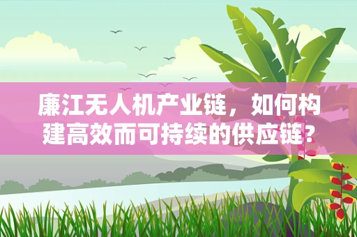 廉江无人机产业链，如何构建高效而可持续的供应链？