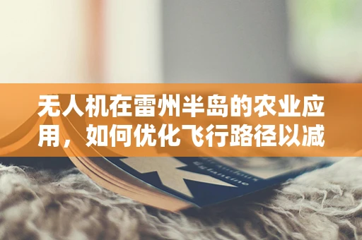 无人机在雷州半岛的农业应用，如何优化飞行路径以减少雷暴影响？