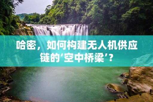 哈密，如何构建无人机供应链的‘空中桥梁’？