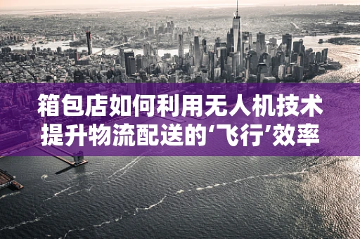 箱包店如何利用无人机技术提升物流配送的‘飞行’效率？