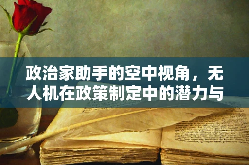 政治家助手的空中视角，无人机在政策制定中的潜力与挑战