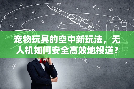 宠物玩具的空中新玩法，无人机如何安全高效地投送？