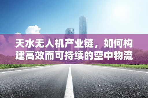 天水无人机产业链，如何构建高效而可持续的空中物流网络？