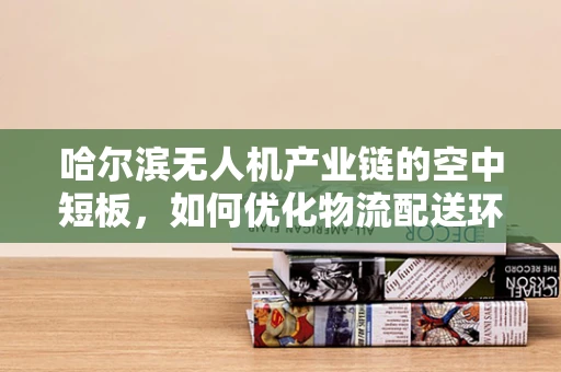 哈尔滨无人机产业链的空中短板，如何优化物流配送环节？