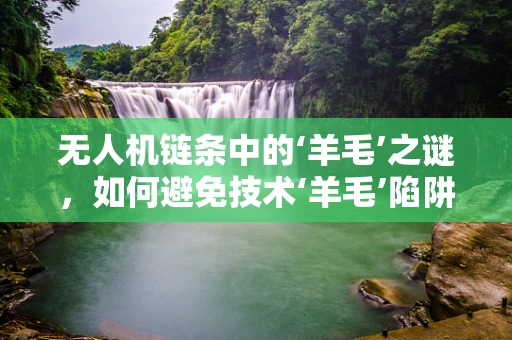 无人机链条中的‘羊毛’之谜，如何避免技术‘羊毛’陷阱？