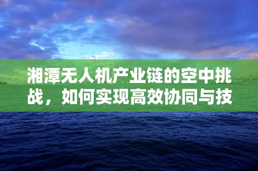 湘潭无人机产业链的空中挑战，如何实现高效协同与技术创新？