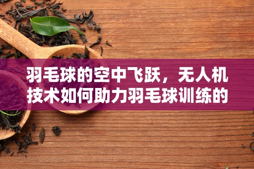 羽毛球的空中飞跃，无人机技术如何助力羽毛球训练的精准与高效？