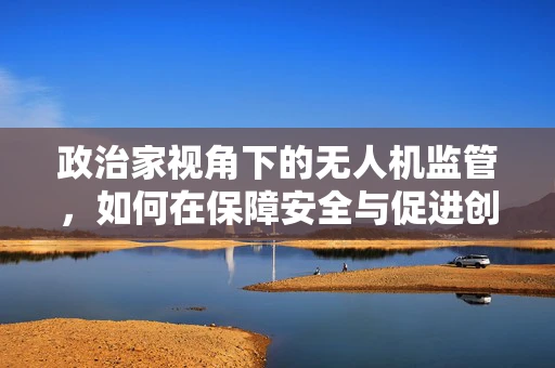 政治家视角下的无人机监管，如何在保障安全与促进创新间找到平衡？