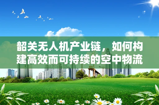 韶关无人机产业链，如何构建高效而可持续的空中物流网络？