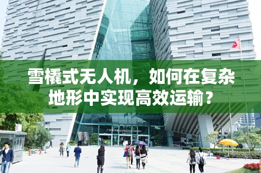 雪橇式无人机，如何在复杂地形中实现高效运输？