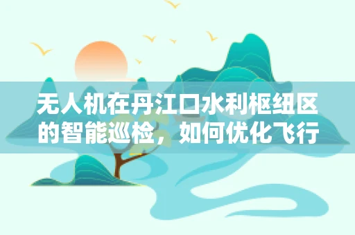 无人机在丹江口水利枢纽区的智能巡检，如何优化飞行路径以提升效率？