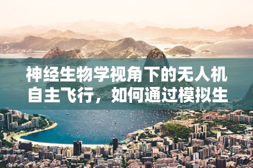 神经生物学视角下的无人机自主飞行，如何通过模拟生物神经网络优化路径规划？