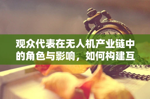 观众代表在无人机产业链中的角色与影响，如何构建互动桥梁？