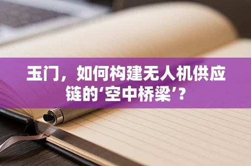 玉门，如何构建无人机供应链的‘空中桥梁’？