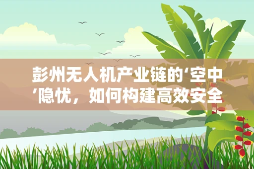 彭州无人机产业链的‘空中’隐忧，如何构建高效安全的应用生态？
