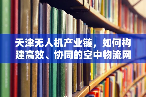 天津无人机产业链，如何构建高效、协同的空中物流网络？