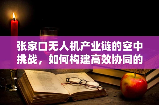 张家口无人机产业链的空中挑战，如何构建高效协同的无人机生态系统？