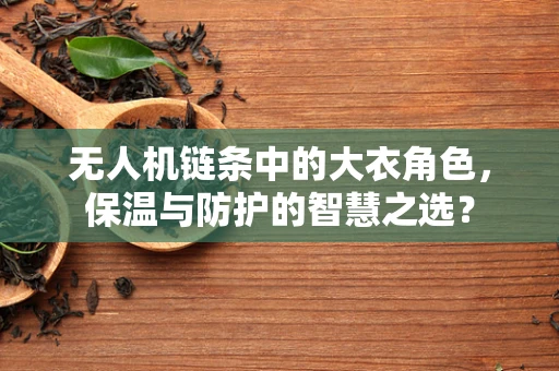 无人机链条中的大衣角色，保温与防护的智慧之选？