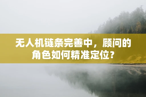 无人机链条完善中，顾问的角色如何精准定位？