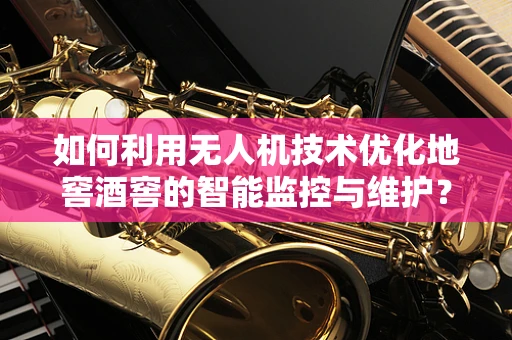 如何利用无人机技术优化地窖酒窖的智能监控与维护？
