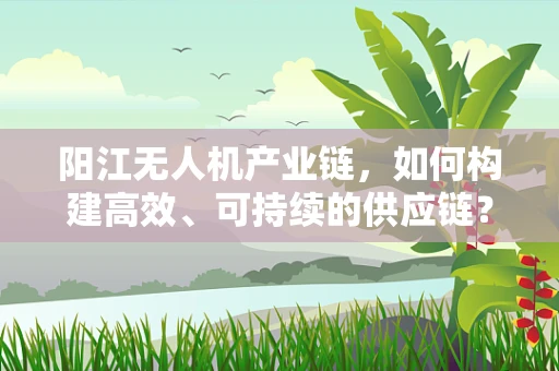 阳江无人机产业链，如何构建高效、可持续的供应链？