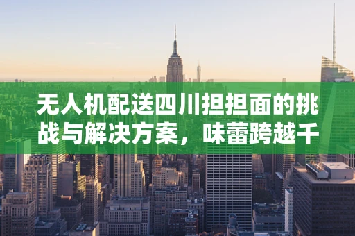 无人机配送四川担担面的挑战与解决方案，味蕾跨越千里的美食之旅