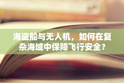 海盗船与无人机，如何在复杂海域中保障飞行安全？