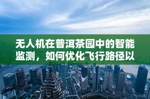 无人机在普洱茶园中的智能监测，如何优化飞行路径以减少对茶树的影响？