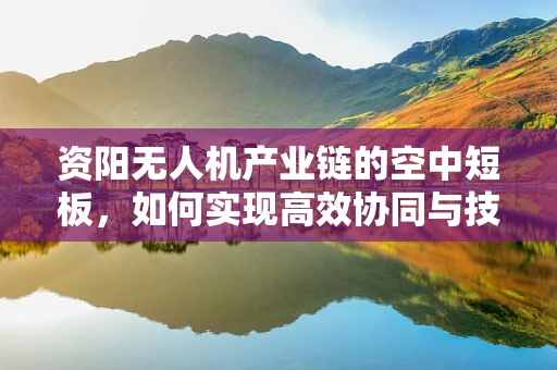 资阳无人机产业链的空中短板，如何实现高效协同与技术创新？