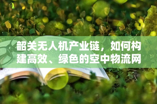 韶关无人机产业链，如何构建高效、绿色的空中物流网络？