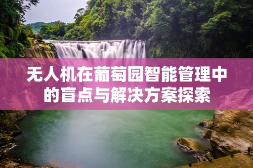 无人机在葡萄园智能管理中的盲点与解决方案探索