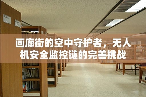 画廊街的空中守护者，无人机安全监控链的完善挑战