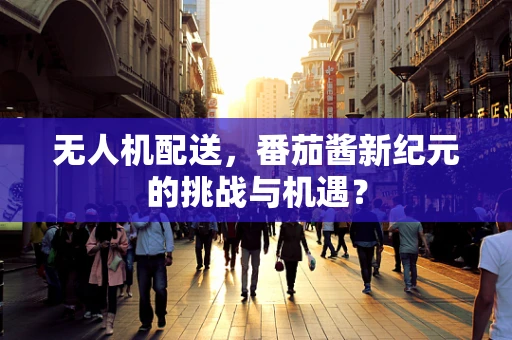 无人机配送，番茄酱新纪元的挑战与机遇？