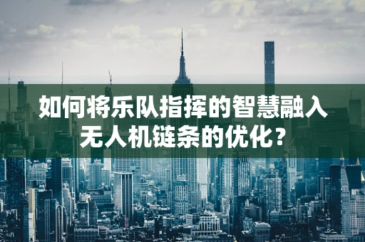 如何将乐队指挥的智慧融入无人机链条的优化？