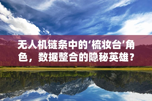 无人机链条中的‘梳妆台’角色，数据整合的隐秘英雄？