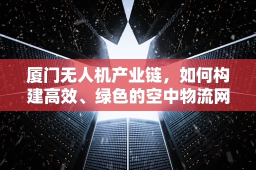 厦门无人机产业链，如何构建高效、绿色的空中物流网络？