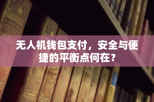 无人机钱包支付，安全与便捷的平衡点何在？