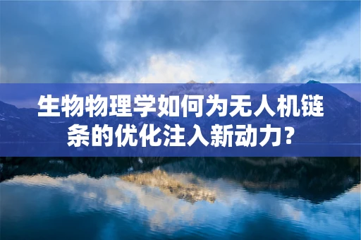 生物物理学如何为无人机链条的优化注入新动力？