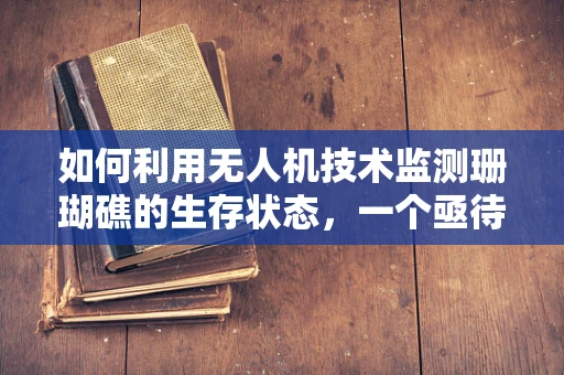 如何利用无人机技术监测珊瑚礁的生存状态，一个亟待解决的挑战？