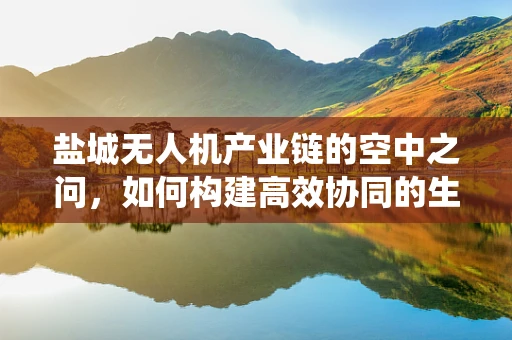 盐城无人机产业链的空中之问，如何构建高效协同的生态系统？