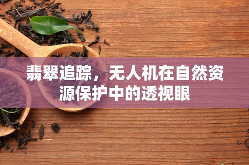 翡翠追踪，无人机在自然资源保护中的透视眼