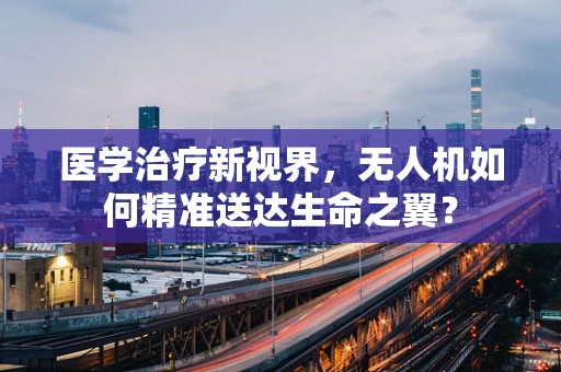 医学治疗新视界，无人机如何精准送达生命之翼？