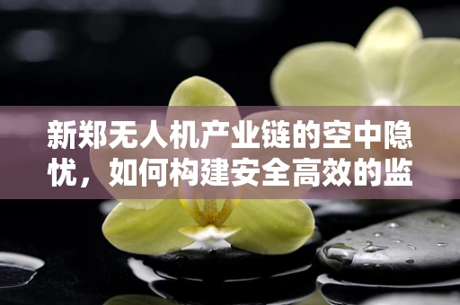 新郑无人机产业链的空中隐忧，如何构建安全高效的监管体系？