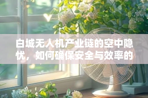 白城无人机产业链的空中隐忧，如何确保安全与效率的双重提升？