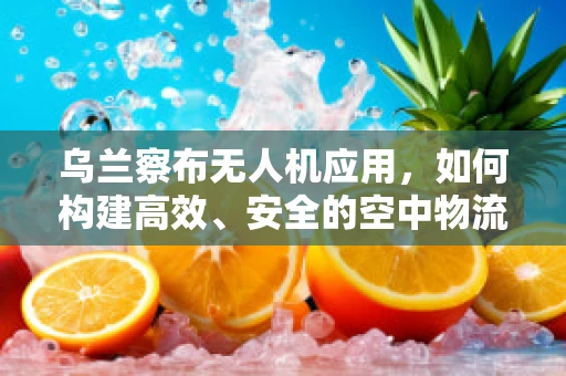 乌兰察布无人机应用，如何构建高效、安全的空中物流链条？