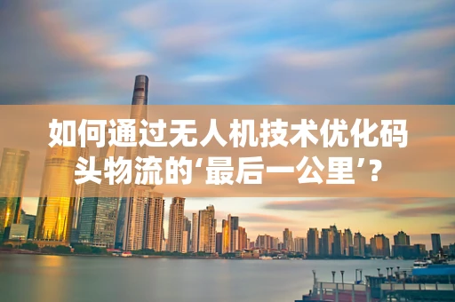 如何通过无人机技术优化码头物流的‘最后一公里’？