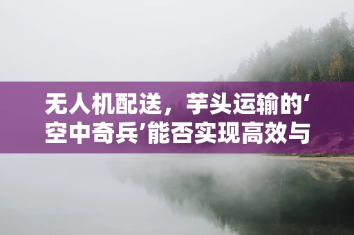 无人机配送，芋头运输的‘空中奇兵’能否实现高效与安全？